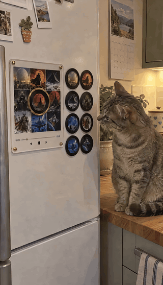 Destiny Spin fridge vinyl spinning at home